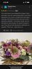 The wild stem studio | Wellingborough | A few of our reviews