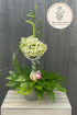 Wild Floral Centerpieces for Events | Wild Spiral – Modern Bamboo Floral Centerpiec
