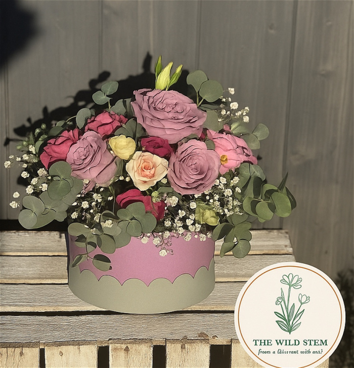 The Wild hat boxes | The Wild Halo