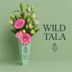 The Wild classics Bouquets  | Wild Tala
