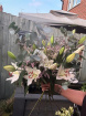 The Wild classics Bouquets  | Wild light lily
