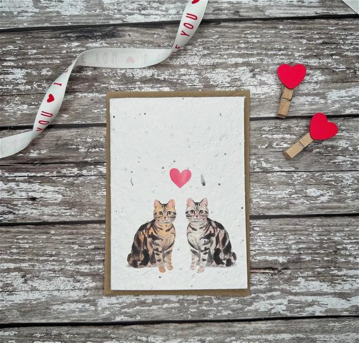 balloons & cards | Gifts | valentines | valentine’s card