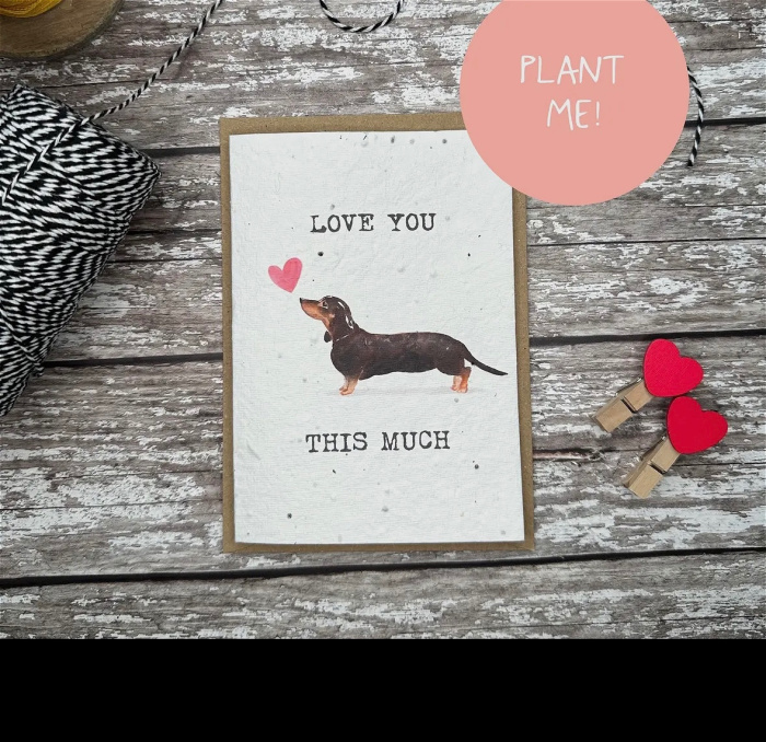 balloons & cards | Gifts | valentines | valentine’s card