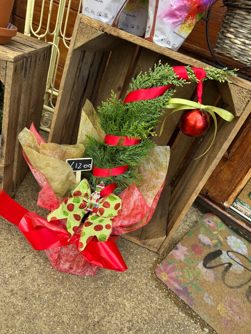 The wild stem studio | Wellingborough | Why Choosing a Local Florist Matters More Than You Th