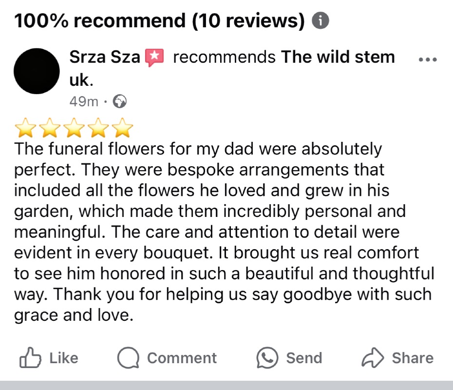 The wild stem studio | Wellingborough | Home