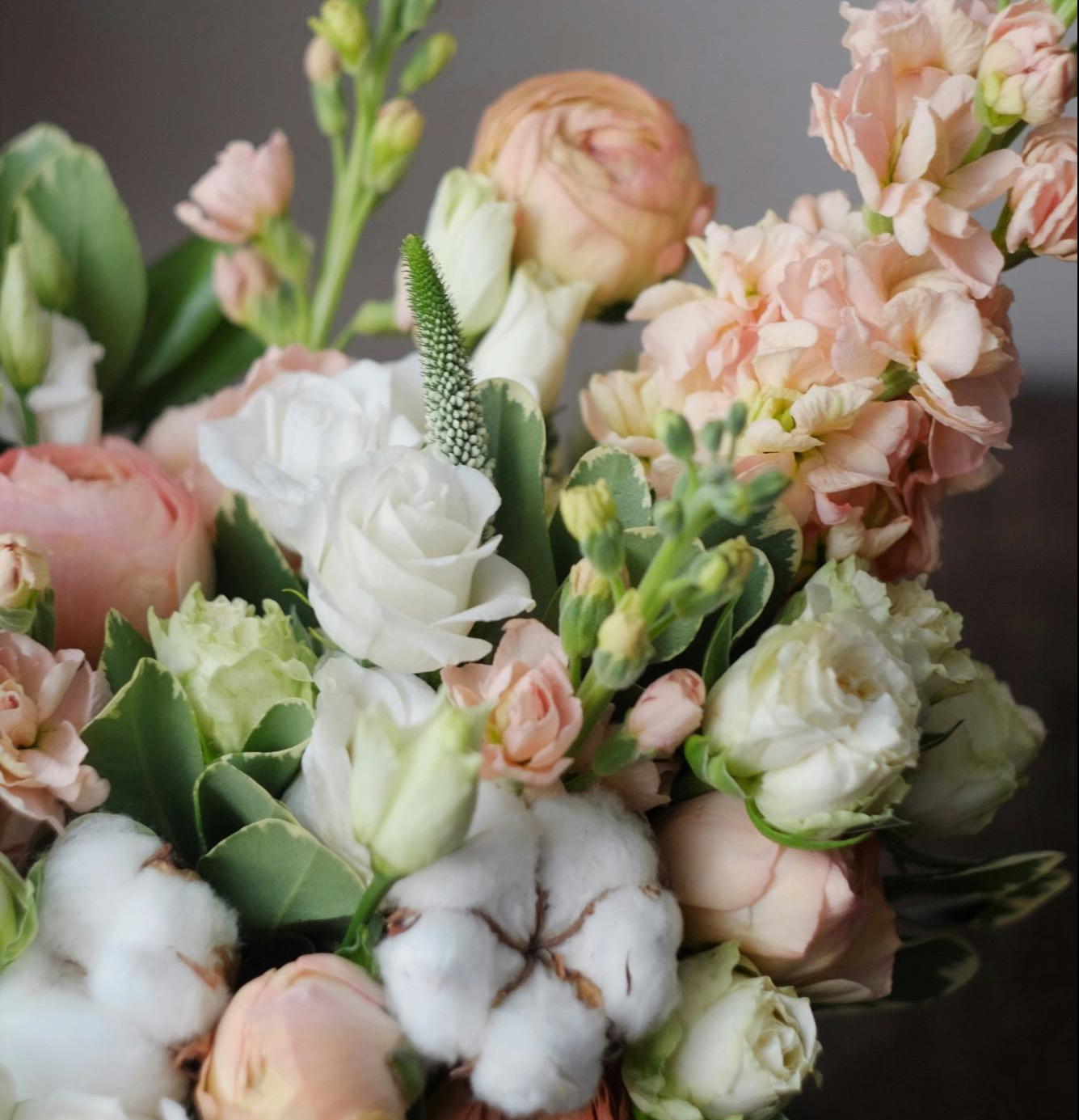 Blooming Jar Company | Home