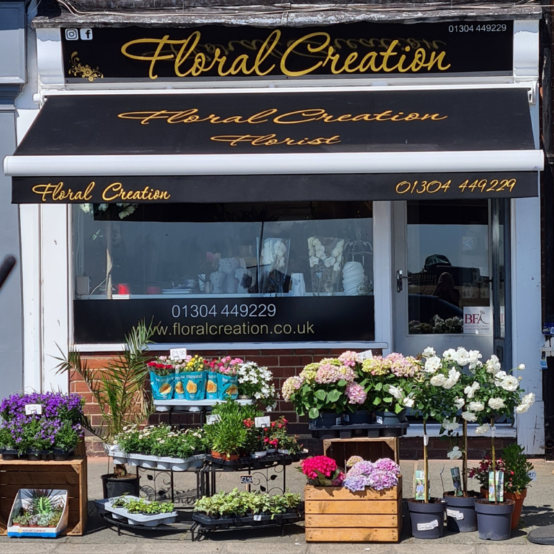 Floral Creation | Deal | Home