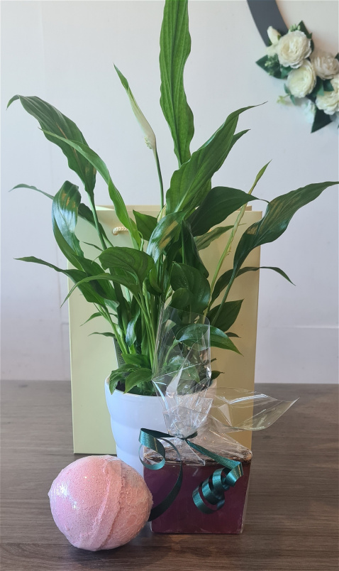 Bouquets | Christmas Flowers | Mother's Day | Valentines Day Flowers  | Serenity Scented Gift Set