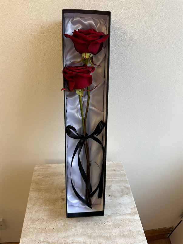 Valentines Day | You & Me - Forever & Always