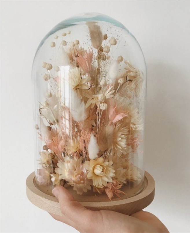 Gifts | Dried Flower Cloche
