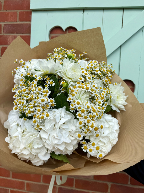 Bouquets | Daisy Dream Bouquet