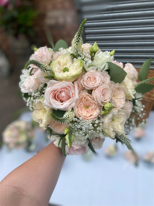 Arrangements | Gifts | Ivy