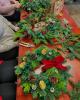 The Petal Home | Dunstable | Workshops & Events