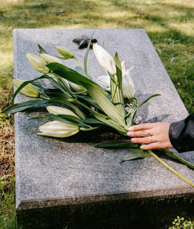 Iris & Bloom | Mansfield | Home