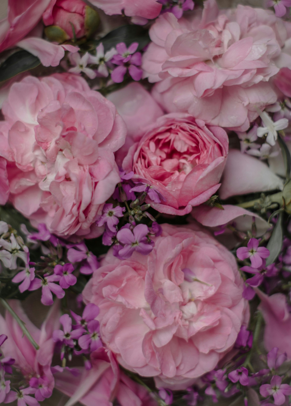 Floral Sensations by Dan | Home