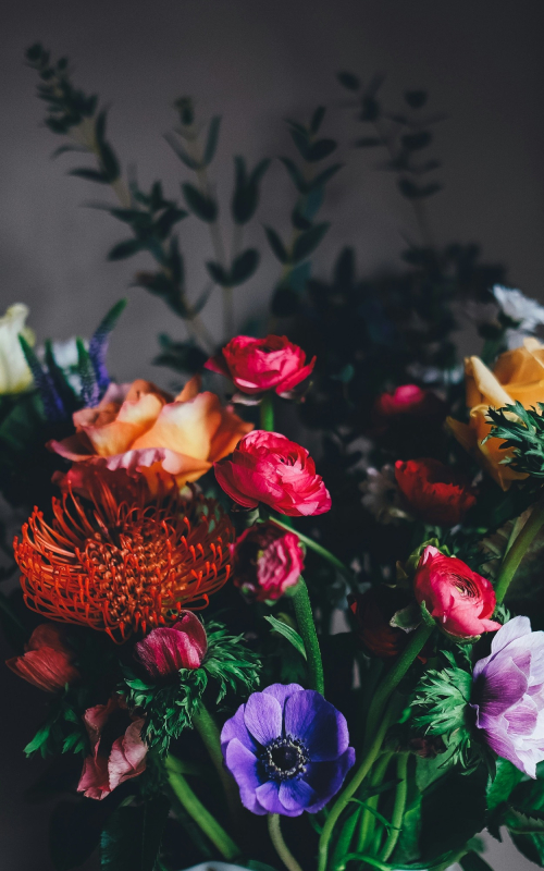 Floral Sensations by Dan | Home