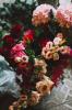 Floral Sensations by Dan | Corporate