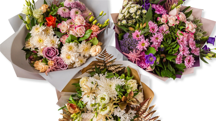 Anniversary | Arrangements | Birthday | Bouquets | Florist Choice Bouquets | Gifts | Graduation | Mother's Day | Same Day Arrangements | Show Them Some LOVE | Dan's Choice Bouquet