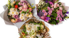 Anniversary | Arrangements | Birthday | Bouquets | Florist Choice Bouquets | Gifts | Graduation | Mother's Day | Same Day Arrangements | Show Them Some LOVE | Dan's Choice Bouquet