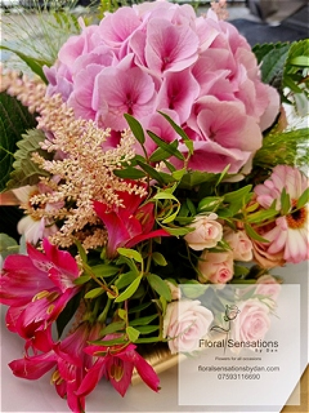 Anniversary | Arrangements | Birthday | Bouquets | Farewell Tributes | Gifts | Graduation | Mother's Day | New Baby | Same Day Arrangements | Pastel Joy