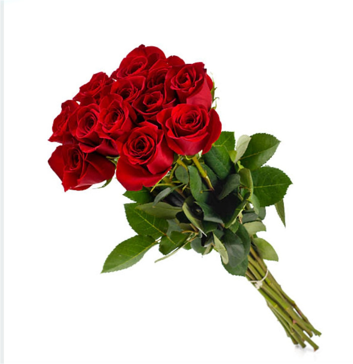 Anniversary | Arrangements | Birthday | Bouquets | Farewell Tributes | Gifts | Graduation | Mother's Day | New Baby | Same Day Arrangements | Show Them Some LOVE | Red Allure