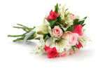 Anniversary | Arrangements | Birthday | Bouquets | Florist Choice Bouquets | Graduation | Mother's Day | New Baby | Same Day Arrangements | Small But Mighty