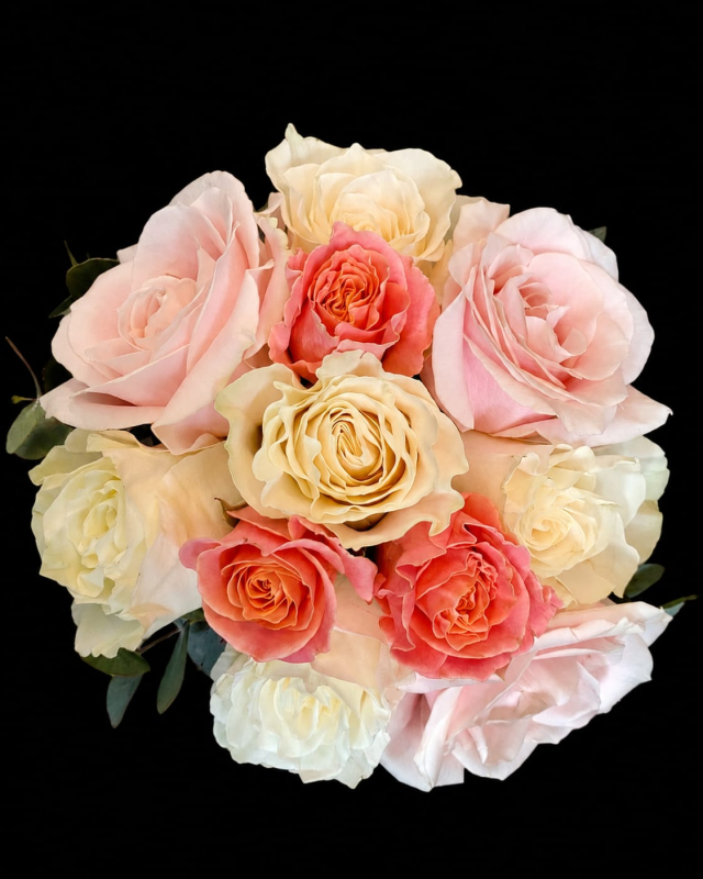 Serenity Blooms | Bearsted | Home