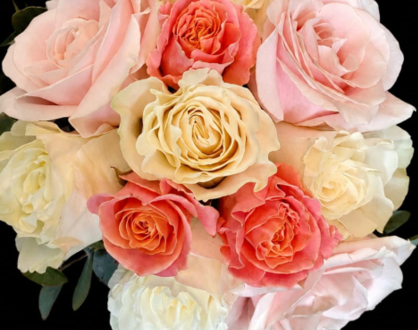 Serenity Blooms | Bearsted | Flower Care