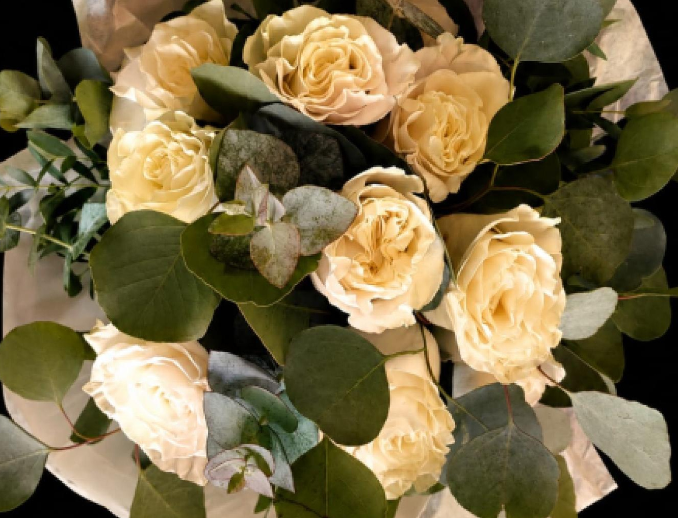 Serenity Blooms | Bearsted | Flower Care