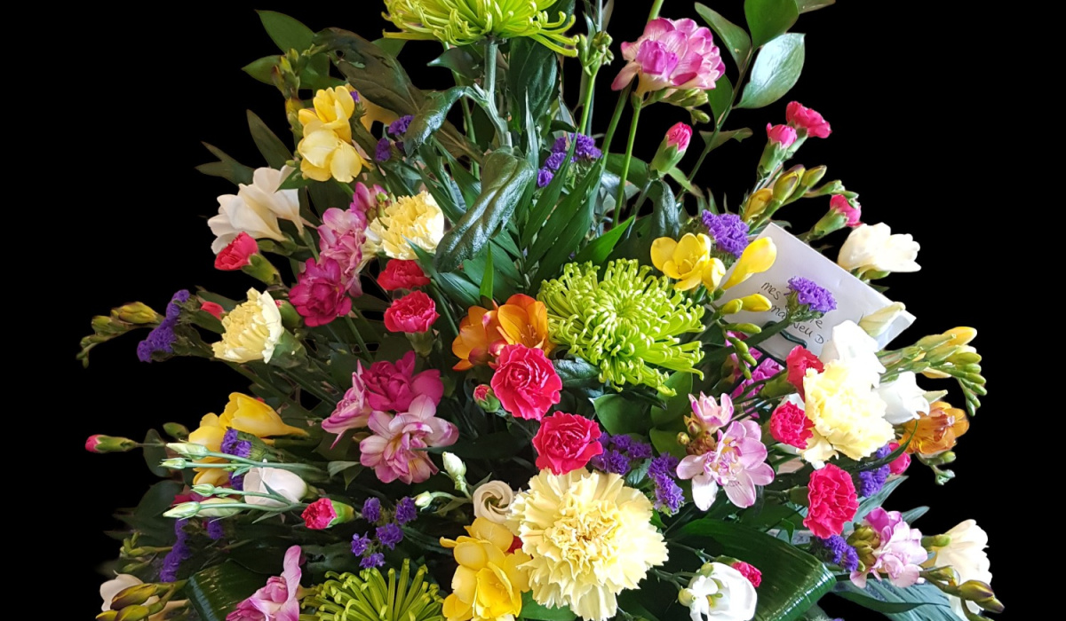 Serenity Blooms | Home