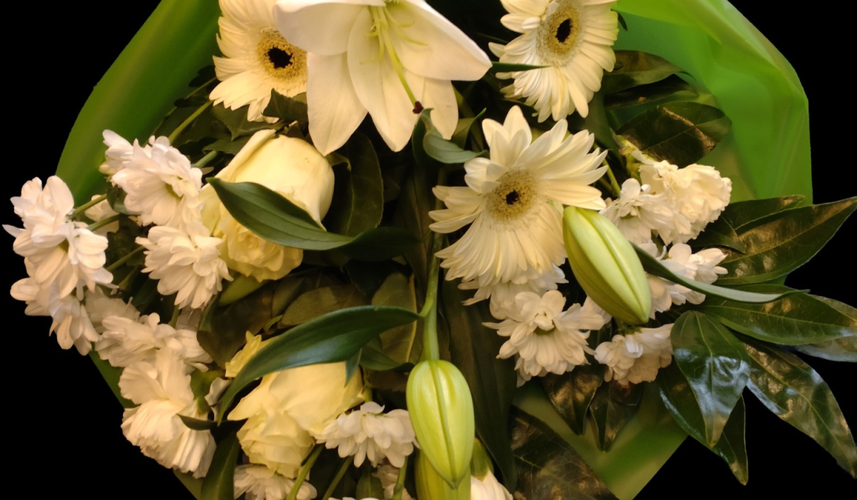 Serenity Blooms | Home