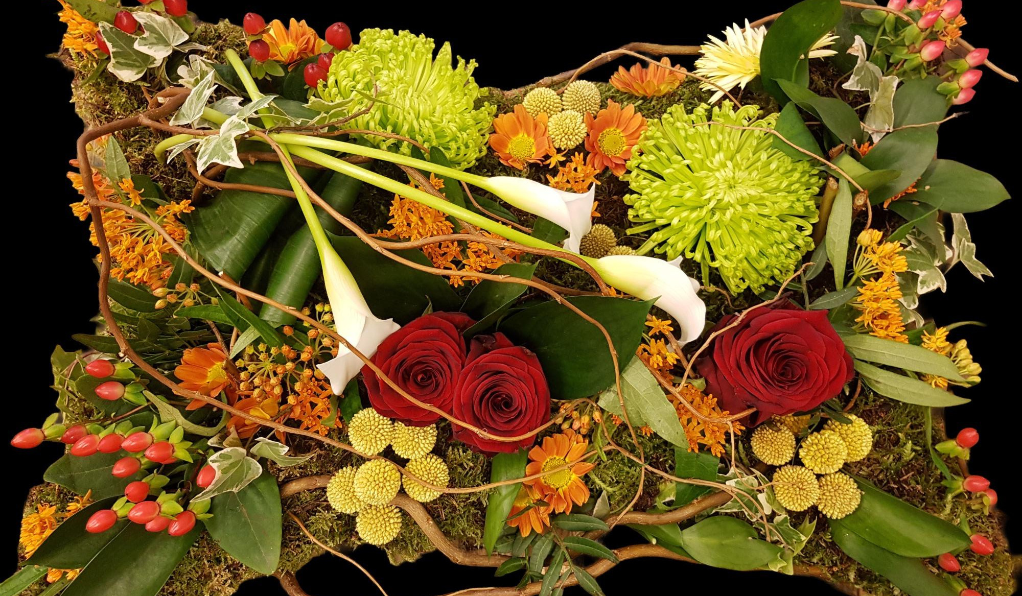 Serenity Blooms | Home