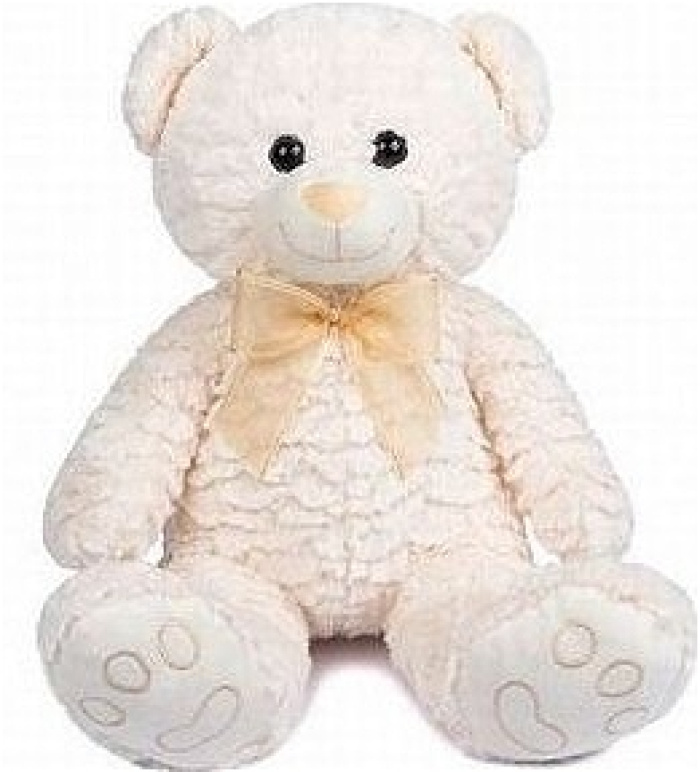 Fresh Flowers | Upsell gifts | Valentine's Day | Ivory Teddy