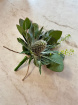Fresh Flowers | Thistle Buttonhole