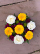 Funeral | 4 Gerbera Posy