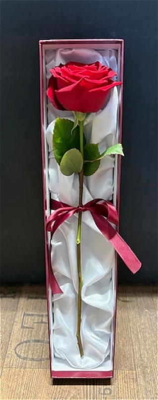 Valentine's Day | Single Rose