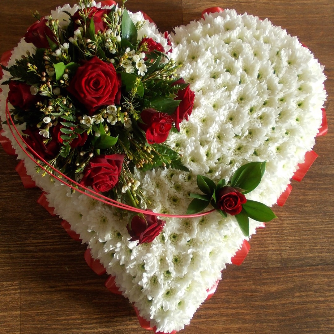 Tracey 301025 | Home