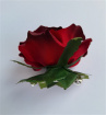 Artificial Accessories | Artificial Accessories and Designs | Red Rose Hair Clip
