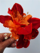 Artificial Accessories | Artificial Accessories and Designs | Red Orchid Wrist Corsage
