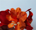 Artificial Accessories | Artificial Accessories and Designs | Red Orchid Wrist Corsage