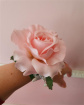Artificial Accessories | Artificial Accessories and Designs | Pink Rose Wrist Corsage