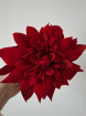 Artificial Accessories | Artificial Accessories and Designs | Red Dahlia Hair Clip