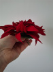 Artificial Accessories | Artificial Accessories and Designs | Red Dahlia Hair Clip