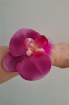 Artificial Accessories | Artificial Accessories and Designs | Pink Orchid Wrist Corsage