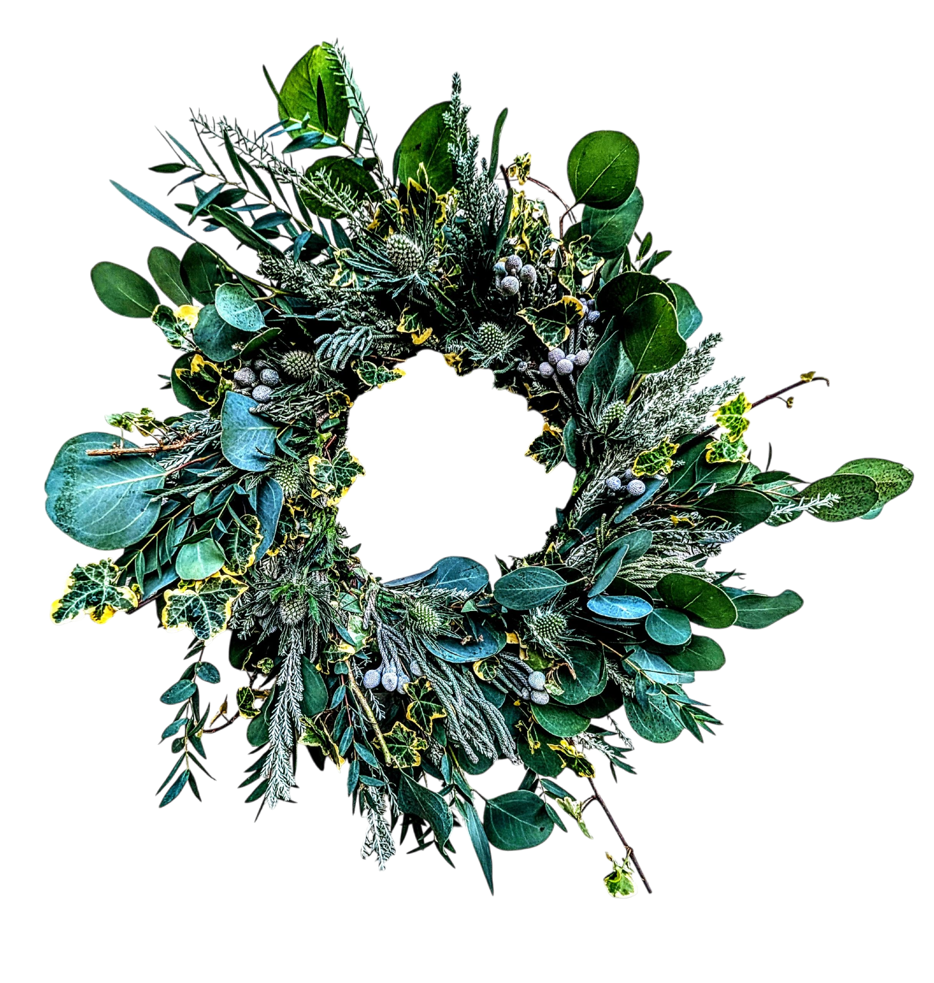 Rebekka Loves Flowers | Pudsey | Home