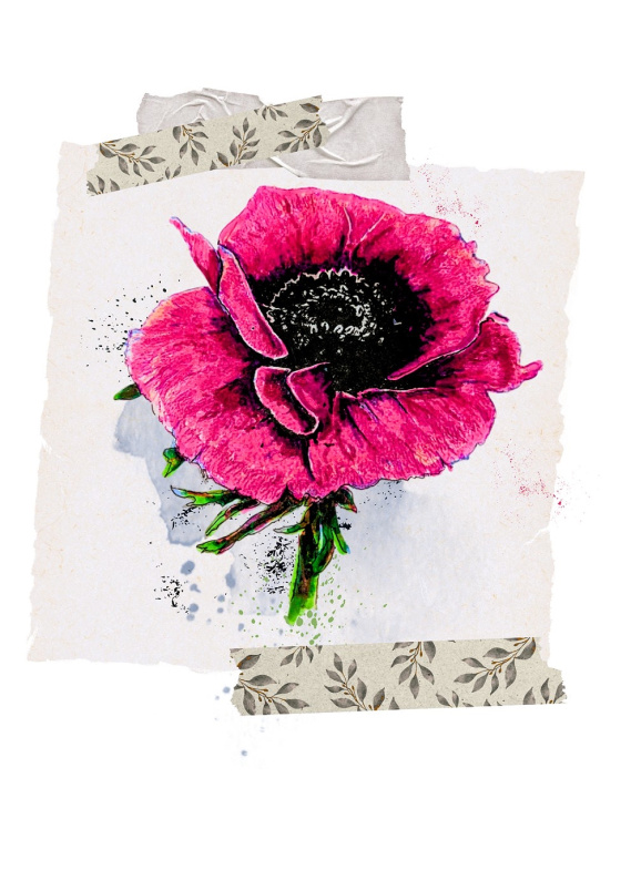 Greetings Cards | Orca Flora Spring Greetings Card