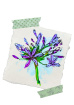 Greetings Cards | Orca Flora Summer Greetings Cards