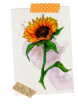 Greetings Cards | Orca Flora Autumn Greetings Cards