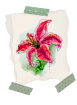 Greetings Cards | Orca Flora Autumn Greetings Cards