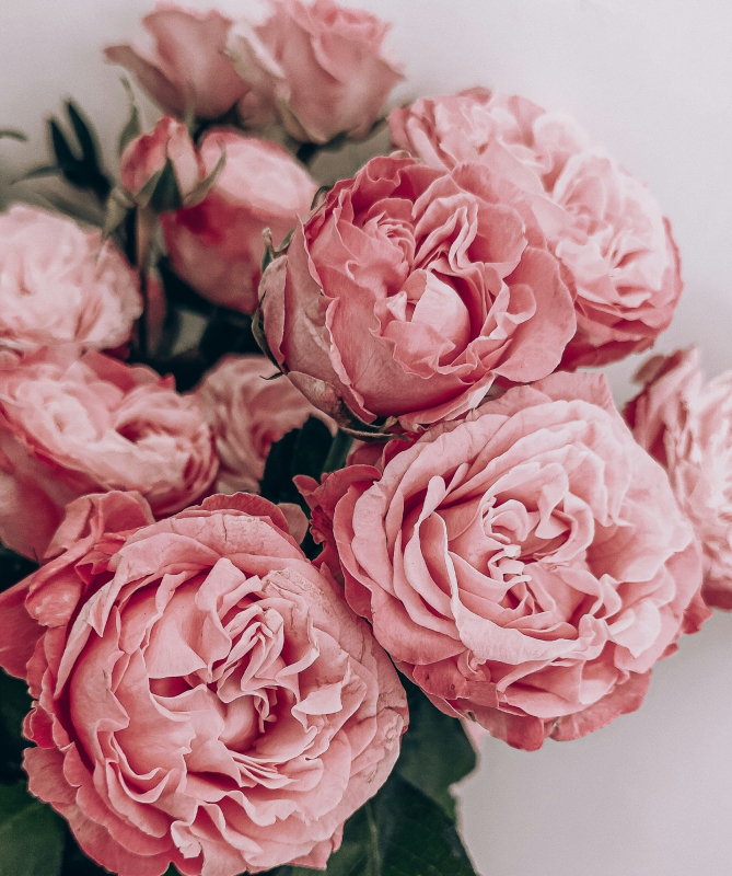 Petal couture | Home